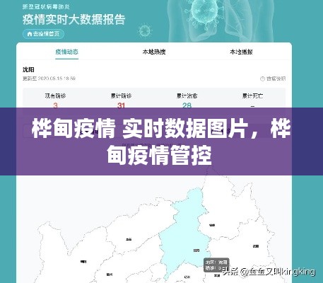 桦甸疫情 实时数据图片，桦甸疫情管控 