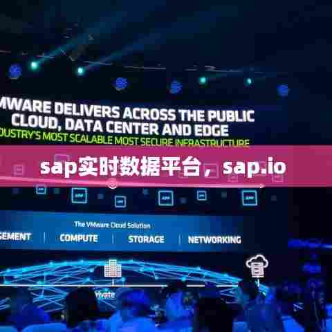 sap实时数据平台，sap.io 