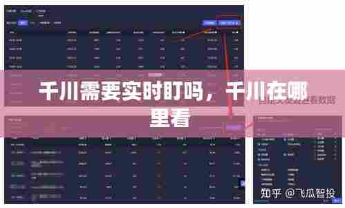 千川需要实时盯吗，千川在哪里看 