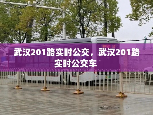 武汉201路实时公交，武汉201路实时公交车 