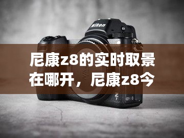 物离乡贵 第7页