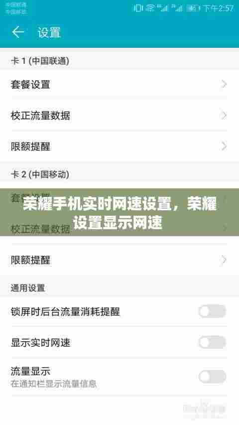 荣耀手机实时网速设置，荣耀设置显示网速 