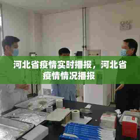 河北省疫情实时播报，河北省疫情情况播报 