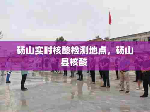 砀山实时核酸检测地点，砀山县核酸 