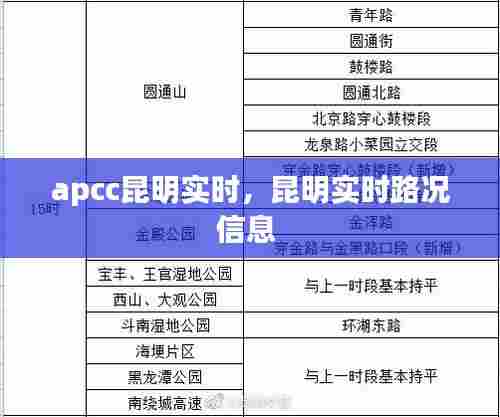 apcc昆明实时，昆明实时路况信息 