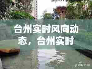 台州实时风向动态，台州实时风向动态图 