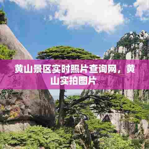 黄山景区实时照片查询网，黄山实拍图片 