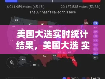 美国大选实时统计结果，美国大选 实时数据 