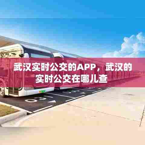 武汉实时公交的APP，武汉的实时公交在哪儿查 