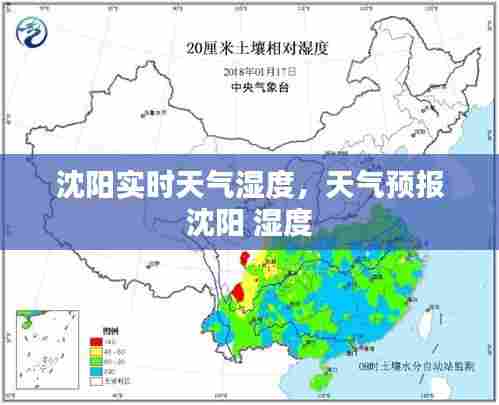 沈阳实时天气湿度，天气预报 沈阳 湿度 