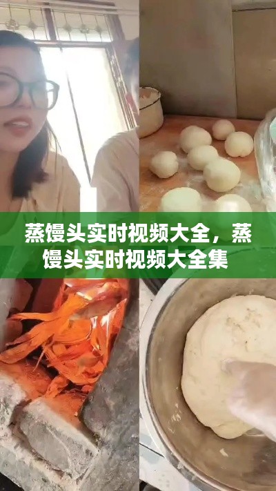 蒸馒头实时视频大全，蒸馒头实时视频大全集 