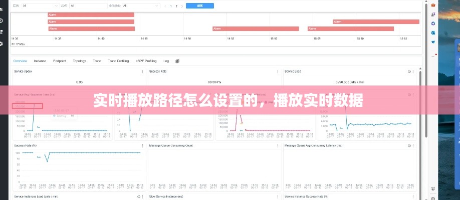 实时播放路径怎么设置的，播放实时数据 