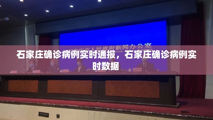 石家庄确诊病例实时通报，石家庄确诊病例实时数据 