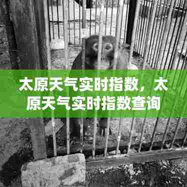 太原天气实时指数，太原天气实时指数查询 