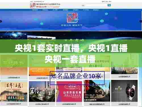 央视1套实时直播，央视1直播央视一套直播 