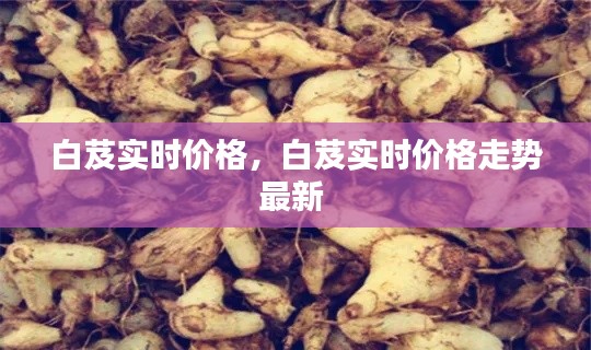 白芨实时价格，白芨实时价格走势最新 