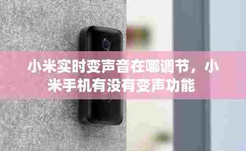 小米实时变声音在哪调节，小米手机有没有变声功能 