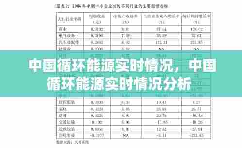 中国循环能源实时情况，中国循环能源实时情况分析 
