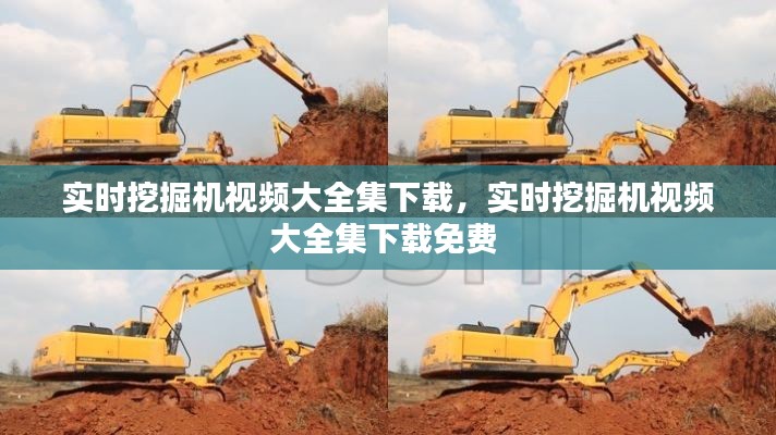 实时挖掘机视频大全集下载，实时挖掘机视频大全集下载免费 