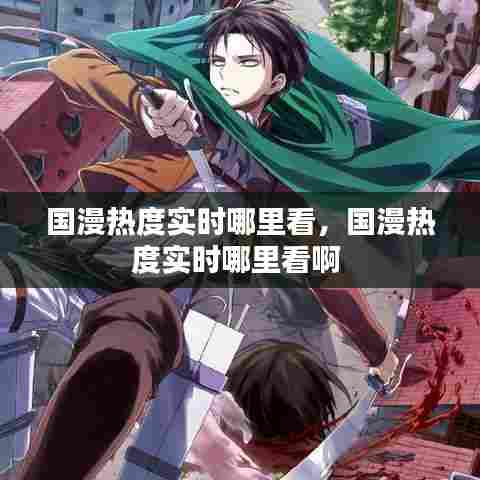 国漫热度实时哪里看，国漫热度实时哪里看啊 