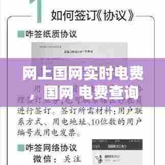 网上国网实时电费，国网 电费查询 
