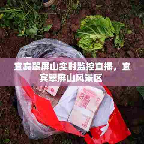 宜宾翠屏山实时监控直播，宜宾翠屏山风景区 
