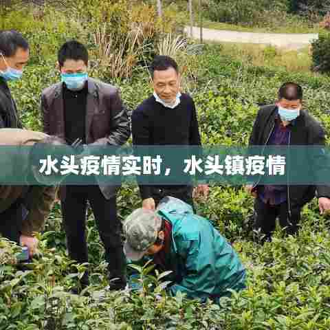 水头疫情实时，水头镇疫情 
