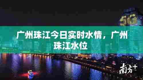 广州珠江今日实时水情，广州珠江水位 