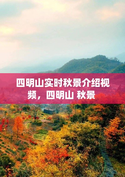 四明山实时秋景介绍视频，四明山 秋景 