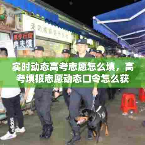 实时动态高考志愿怎么填，高考填报志愿动态口令怎么获取 