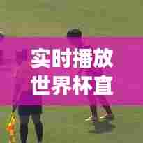实时播放世界杯直播，现场直播世界杯足球赛 