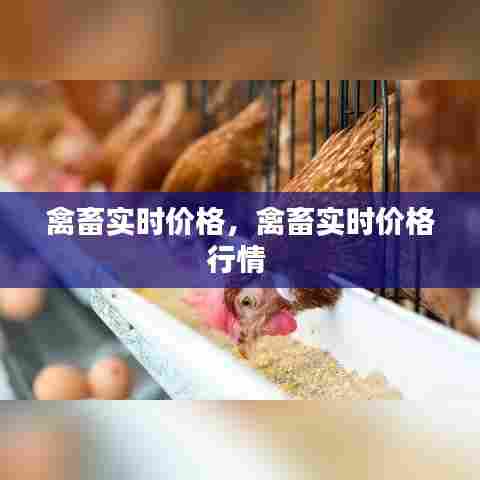 禽畜实时价格，禽畜实时价格行情 