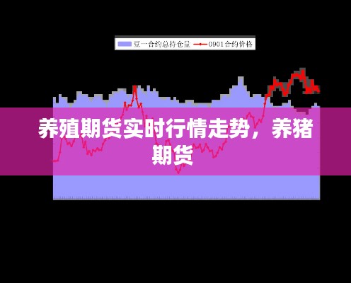 养殖期货实时行情走势，养猪期货 