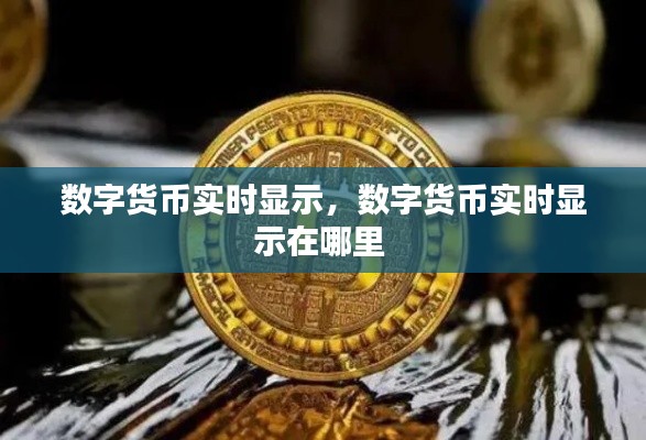 数字货币实时显示，数字货币实时显示在哪里 