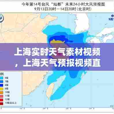 上海实时天气素材视频，上海天气预报视频直播 