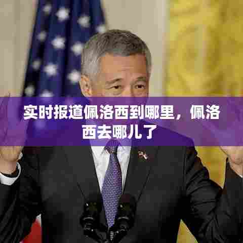 实时报道佩洛西到哪里，佩洛西去哪儿了 