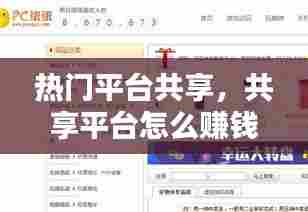 热门平台共享，共享平台怎么赚钱的 