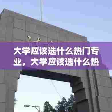 大学应该选什么热门专业，大学应该选什么热门专业好 