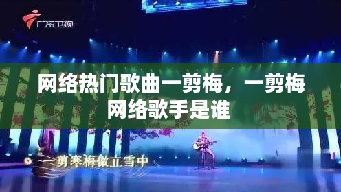 网络热门歌曲一剪梅，一剪梅网络歌手是谁 
