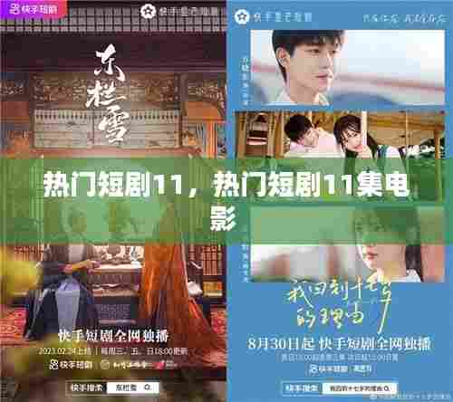 热门短剧11，热门短剧11集电影 