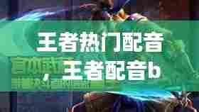 王者热门配音，王者配音bgm 