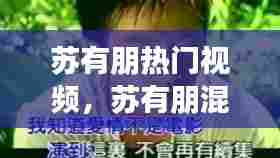 苏有朋热门视频，苏有朋混剪 
