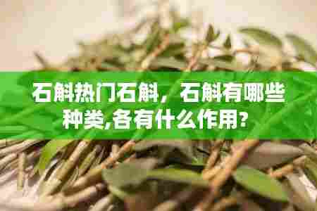 石斛热门石斛，石斛有哪些种类,各有什么作用? 
