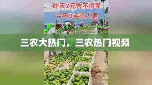 三农大热门，三农热门视频 