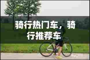 骑行热门车，骑行推荐车 