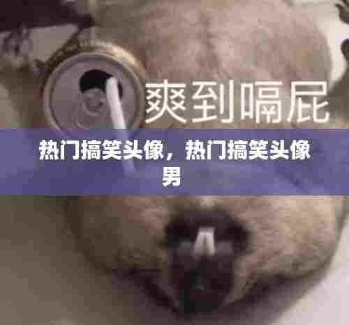 热门搞笑头像，热门搞笑头像男 