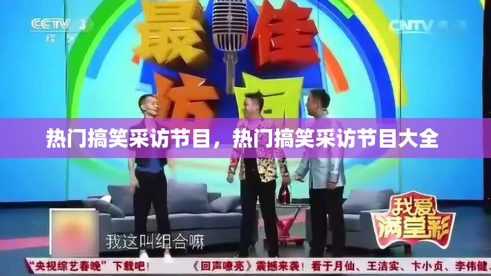 热门搞笑采访节目，热门搞笑采访节目大全 