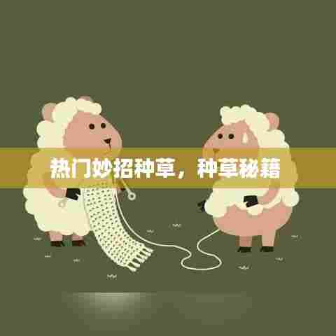 热门妙招种草，种草秘籍 