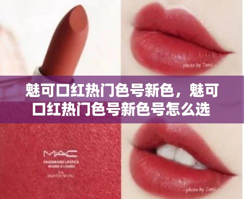 魅可口红热门色号新色，魅可口红热门色号新色号怎么选 