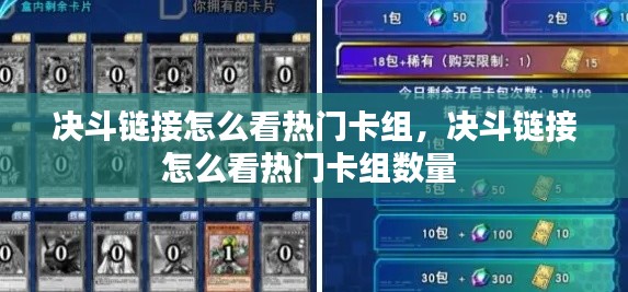 决斗链接怎么看热门卡组，决斗链接怎么看热门卡组数量 